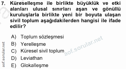 7. soru: Küreselleşme ile birlikte büyüklük ve etki alanları ulusal sınırları aşan ve gönüllü kuruluşlarla birlikte yeni bir b…