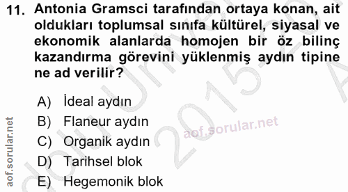 11. soru: Antonia Gramsci tarafından ortaya konan, ait oldukları toplumsal sınıfa kültürel, siyasal ve ekonomik alanlarda homoj…