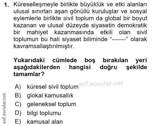 1. soru: Küreselleşmeyle birlikte büyüklük ve etki alanları ulusal sınırları aşan gönüllü kuruluşlar ve sosyal eylemlerle birl…