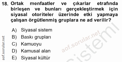 18. soru: Ortak menfaatler ve çıkarlar etrafında birleşen ve bunları gerçekleştirmek için siyasal otoriteler üzerinde etki yapm…
