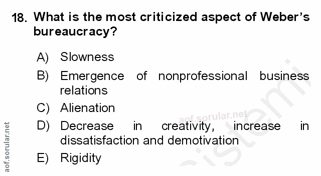 18. soru: What is the most criticized aspect of Weber's bureaucracy? A) Slowness B) Emergence of nonprofessional business relat…