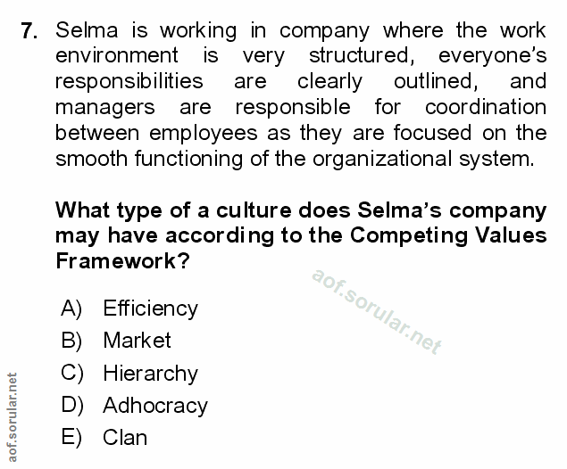 7. soru: Selma is working in company where the work environment is very structured, everyone's responsibilities are clearly ou…