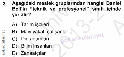3. soru: Aşağıdaki meslek gruplarından hangisi Daniel Bell'in "teknik ve profesyonel" sınıfı içinde yer alır? A) Tarım işçiler…
