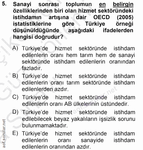 5. soru: Sanayi sonrası toplumun en belirgin özelliklerinden biri olan hizmet sektöründeki istihdamın artışına dair OECD (2005…
