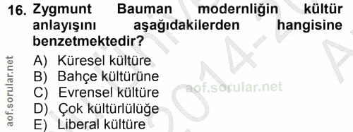 16. soru: Zygmunt Bauman modernliğin kültür anlayışını aşağıdakilerden hangisine benzetmektedir? A) Küresel kültüre B) Bahçe kü…