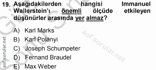 19. soru: Aşağıdakilerden hangisi Immanuel Wallerstein'l önemli ölçüde etkileyen düşünürler arasında yer almaz? A) Karl Marks B…