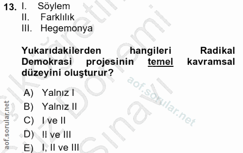 13. soru: 1. Söylem Il. Farklılık IlI. Hegemonya Yukarıdakilerden hangileri Radikal Demokrasi projesinin temel kavramsal düzeyi…