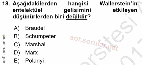 18. soru: Aşağıdakilerden hangisi Wallerstein'in entelektüel gelişimini etkileyen düşünürlerden biri değildir? A) Braudel B) Sc…