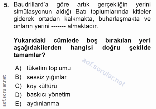 5. soru: Baudrillard'a göre artık gerçekliğin yerini simülasyonun aldığı Batı toplumlarında kitleler giderek ortadan kalkmakta…
