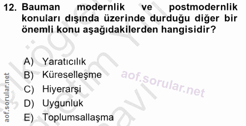 12. soru: Bauman modernlik ve postmodernlik konuları dışında üzerinde durduğu diğer bir önemli konu aşağıdakilerden hangisidir?…