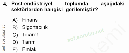 4. soru: Post-endüstriyel toplumda aşağıdaki sektörlerden hangisi gerilemiştir? A) Finans B) Sigortacılık C) Ticaret D) Tarım…