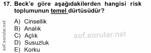17. soru: Beck'e göre aşağıdakilerden hangisi risk toplumunun temel dürtüsüdür? A) Cinsellik rular.n B) Analık C) Açlık SOl D)…