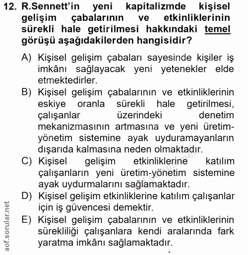 12. soru: R.Sennett'in yeni kapitalizmde kişisel gelişim çabalarının ve etkinliklerinin sürekli hale getirilmesi hakkındaki tem…