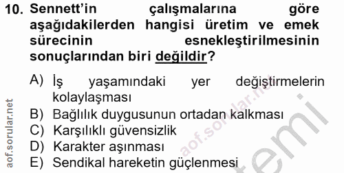 10. soru: Senett'in çalışmalarına göre aşağıdakilerden hangisi üretim ve emek sürecinin esnekleştirilmesinin sonuçlarından biri…