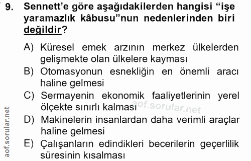 9. soru: Sennett'e göre aşağıdakilerden hangisi "işe yaramazlık kâbusu"nun nedenlerinden biri değildir? A) Küresel emek arzını…