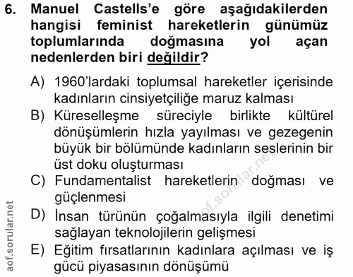6. soru: Manuel Castells'e göre aşağıdakilerden hangisi feminist hareketlerin günümüz toplumlarında doğmasına yol açan nedenle…