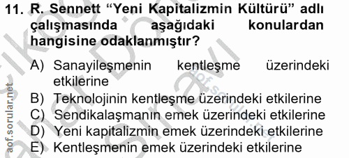 11. soru: R. Sennett "Yeni Kapitalizmin Kültürü" adlı çalışmasında aşağıdaki konulardan hangisine odaklanmıştır? A) Sanayileşme…