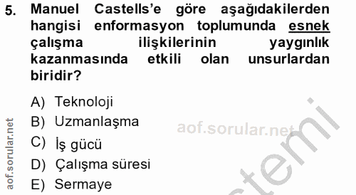 5. soru: Manuel Castells'e göre aşağıdakilerden hangisi enformasyon toplumunda esnek çalışma ilişkilerinin yaygınlık kazanması…