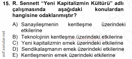 15. soru: R. Sennett "Yeni Kapitalizmin Kültürü" adlı çalışmasında aşağıdaki konulardan hangisine odaklanmıştır? A) Sanayileşme…