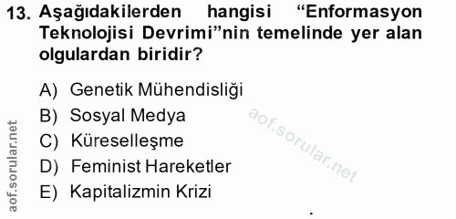 13. soru: Aşağıdakilerden hangisi "Enformasyon Teknolojisi Devrimi"nin temelinde yer alan olgulardan biridir? A) Genetik Mühend…