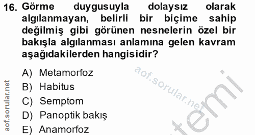 16. soru: Görme duygusuyla dolaysız olarak algılanmayan, belirli bir biçime sahip değilmiş gibi görünen nesnelerin özel bir bak…