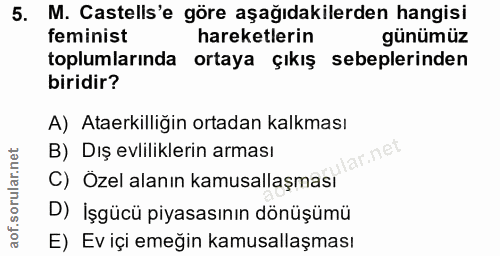 5. soru: M. Castells'e göre aşağıdakilerden hangisi feminist hareketlerin günümüz toplumlarında ortaya çıkış sebeplerinden bir…