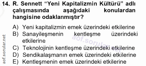 14. soru: R. Sennett "Yeni Kapitalizmin Kültürü" adlı çalışmasında aşağıdaki konulardan hangisine odaklanmıştır? A) Yeni kapita…