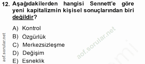 12. soru: Aşağıdakilerden hangisi Senett'e göre yeni kapitalizmin kişisel sonuçlarından biri değildir? A) Kontrol B) Özgürlük C…