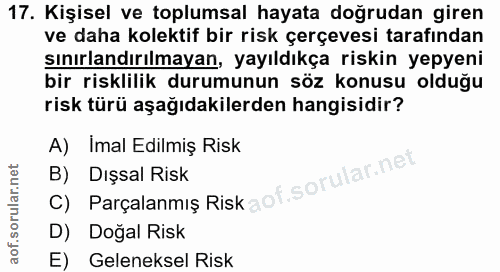 17. soru: Kişisel ve toplumsal hayata doğrudan giren ve daha kolektif bir risk çerçevesi tarafından sınırlandırılmayan, yayıldı…