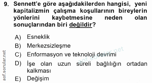 9. soru: Sennett'e göre aşağıdakilerden hangisi, yeni kapitalizmin çalışma koşullarının bireylerin yönlerini kaybetmesine nede…