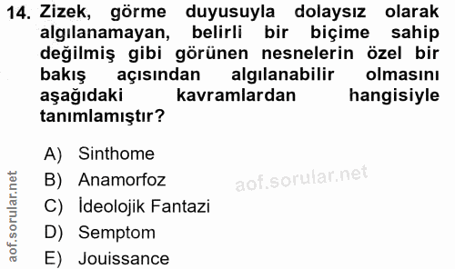 14. soru: Zizek, görme duyusuyla dolaysız olarak algılanamayan, belirli bir biçime sahip değilmiş gibi görünen nesnelerin özel…