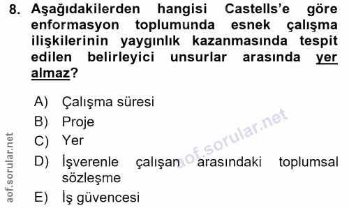 8. soru: Aşağıdakilerden hangisi Castells'e göre enformasyon toplumunda esnek çalışma ilişkilerinin yaygınlık kazanmasında tes…