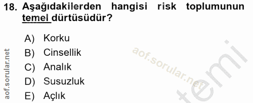 18. soru: Aşağıdakilerden hangisi risk toplumunun temel dürtüsüdür? A) Korku B) Cinsellik C) Analık aof.sorular.neg) D) Susuzlu…