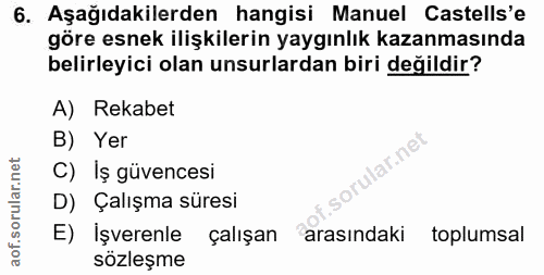 6. soru: Aşağıdakilerden hangisi Manuel Castells'e göre esnek ilişkilerin yaygınlık kazanmasında belirleyici olan unsurlardan…