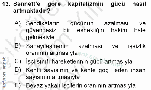 13. soru: Sennett'e göre kapitalizmin gücü nasıl artmaktadır? A) Sendikaların gücünün azalması ve güvencesiz bir esnekliğin hak…