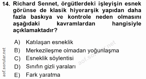 14. soru: Richard Sennet, örgütlerdeki işleyişin esnek görünse de klasik hiyerarşik yapıdan daha fazla baskıya ve kontrole nede…