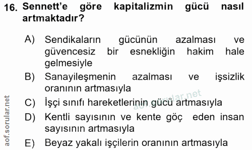16. soru: Sennett'e göre kapitalizmin gücü nasıl artmaktadır? A) Sendikaların gücünün azalması ve güvencesiz bir esnekliğin hak…