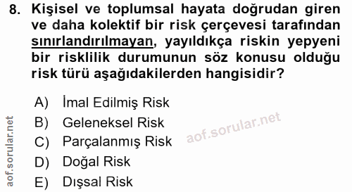 8. soru: Kişisel ve toplumsal hayata doğrudan giren ve daha kolektif bir risk çerçevesi tarafından sınırlandırılmayan, yayıldı…