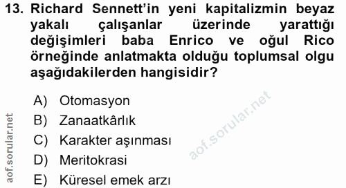 13. soru: Richard Senett'in yeni kapitalizmin beyaz yakalı çalışanlar üzerinde yarattığı değişimleri baba Enrico ve oğul Rico ö…
