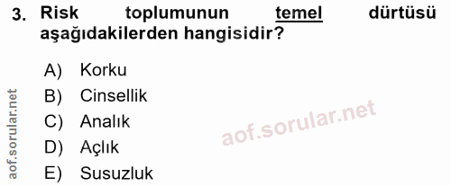 3. soru: Risk toplumunun temel dürtüsü aşağıdakilerden hangisidir? A) Korku B) Cinsellik C) Analık D) Açlık E) Susuzluk