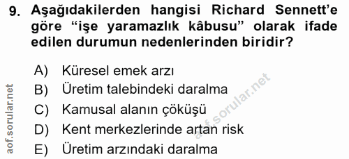 9. soru: Aşağıdakilerden hangisi Richard Sennett'e göre "işe yaramazlık kâbusu" olarak ifade edilen durumun nedenlerinden biri…