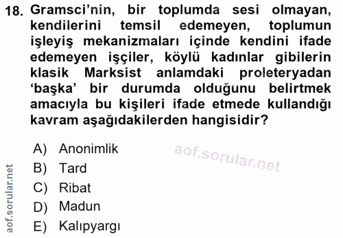 18. soru: Gramsi'nin, bir toplumda sesi olmayan, kendilerini temsil edemeyen, toplumun işleyiş mekanizmaları içinde kendini ifa…