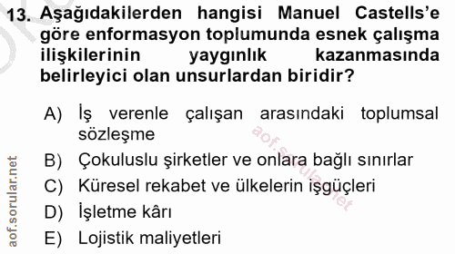 13. soru: Aşağıdakilerden hangisi Manuel Castells'e göre enformasyon toplumunda esnek çalışma ilişkilerinin yaygınlık kazanması…