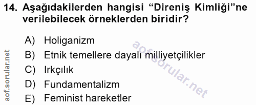 14. soru: Aşağıdakilerden hangisi "Direniş Kimliği"ne verilebilecek örneklerden biridir? A) Holiganizm B) Etnik temellere dayal…