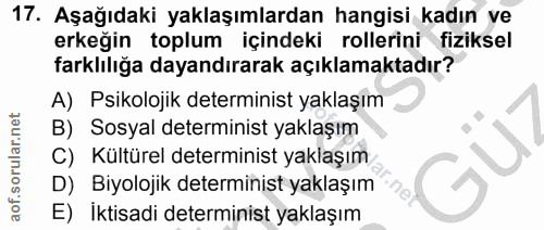 17. soru: Aşağıdaki yaklaşımlardan hangisi kadın ve erkeğin toplum içindeki rollerini fiziksel farklılığa dayandırarak açıklama…