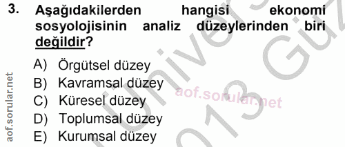 3. soru: Aşağıdakilerden hangisi ekonomi sosyolojisinin analiz düzeylerinden biri değildir? A) Örgütsel düzey B) Kavramsal düz…