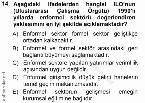 14. soru: Aşağıdaki ifadelerden hangisi ILO'nun (Uluslararası Çalışma Örgütü) 1990'lı yıllarda enformel sektörü değerlendiren y…