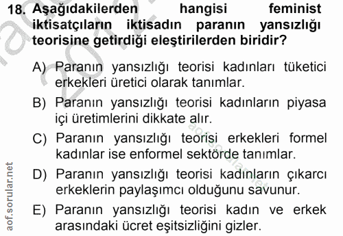 18. soru: Aşağıdakilerden hangisı feminist iktisatçıların iktisadın paranın yansızlığı teorisine getirdiği eleştirilerden birid…