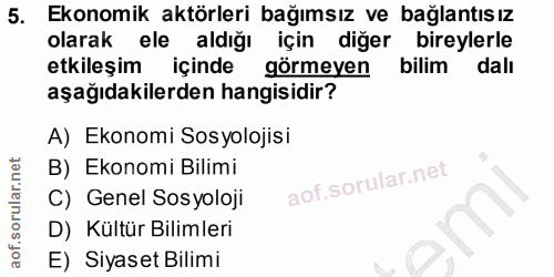 5. soru: Ekonomik aktörleri bağımsız ve bağlantısız olarak ele aldığı için diğer bireylerle etkileşim içinde görmeyen bilim da…