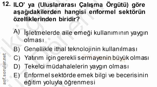 12. soru: ILO' ya (Uluslararası Çalışma Örgütü) göre aşağıdakilerden hangisi enformel sektörün özelliklerinden biridir? A) İşle…